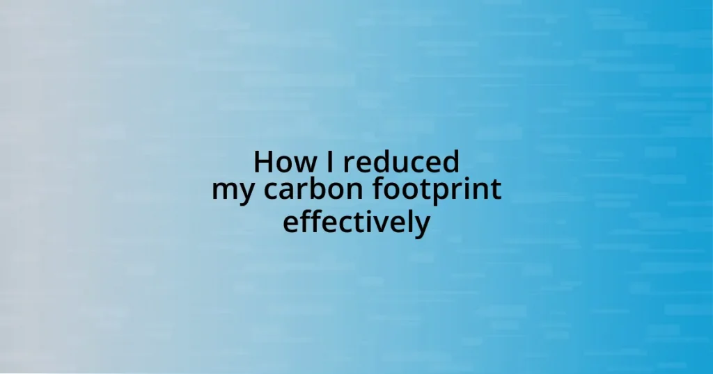 How I reduced my carbon footprint effectively