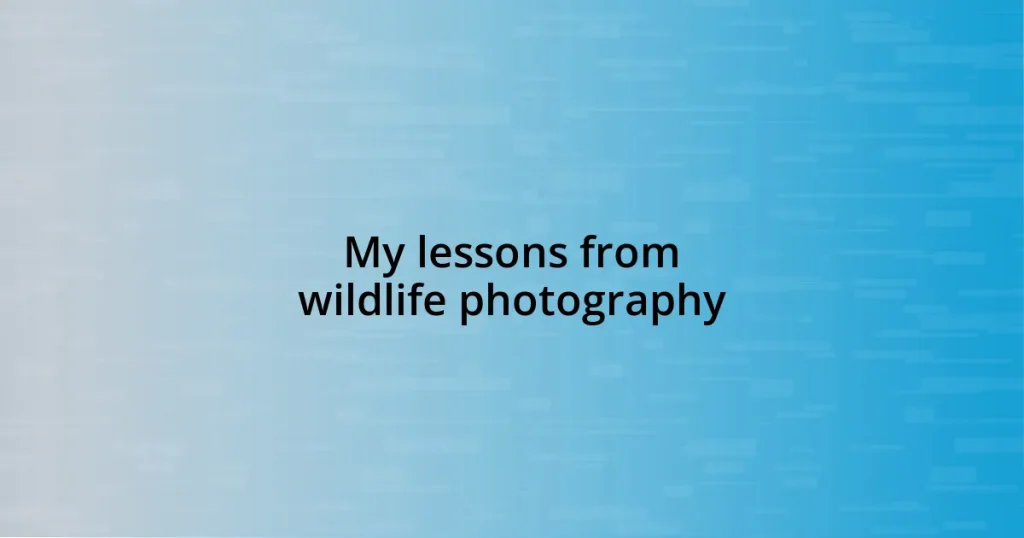 My lessons from wildlife photography