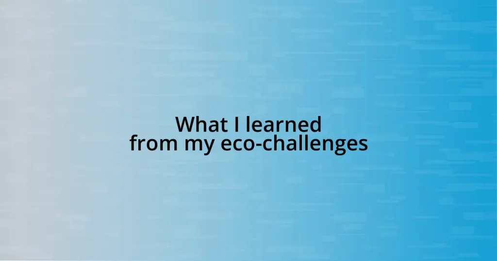 What I learned from my eco-challenges