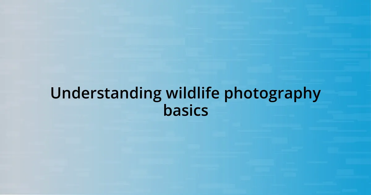 Understanding wildlife photography basics