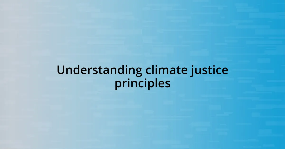 Understanding climate justice principles